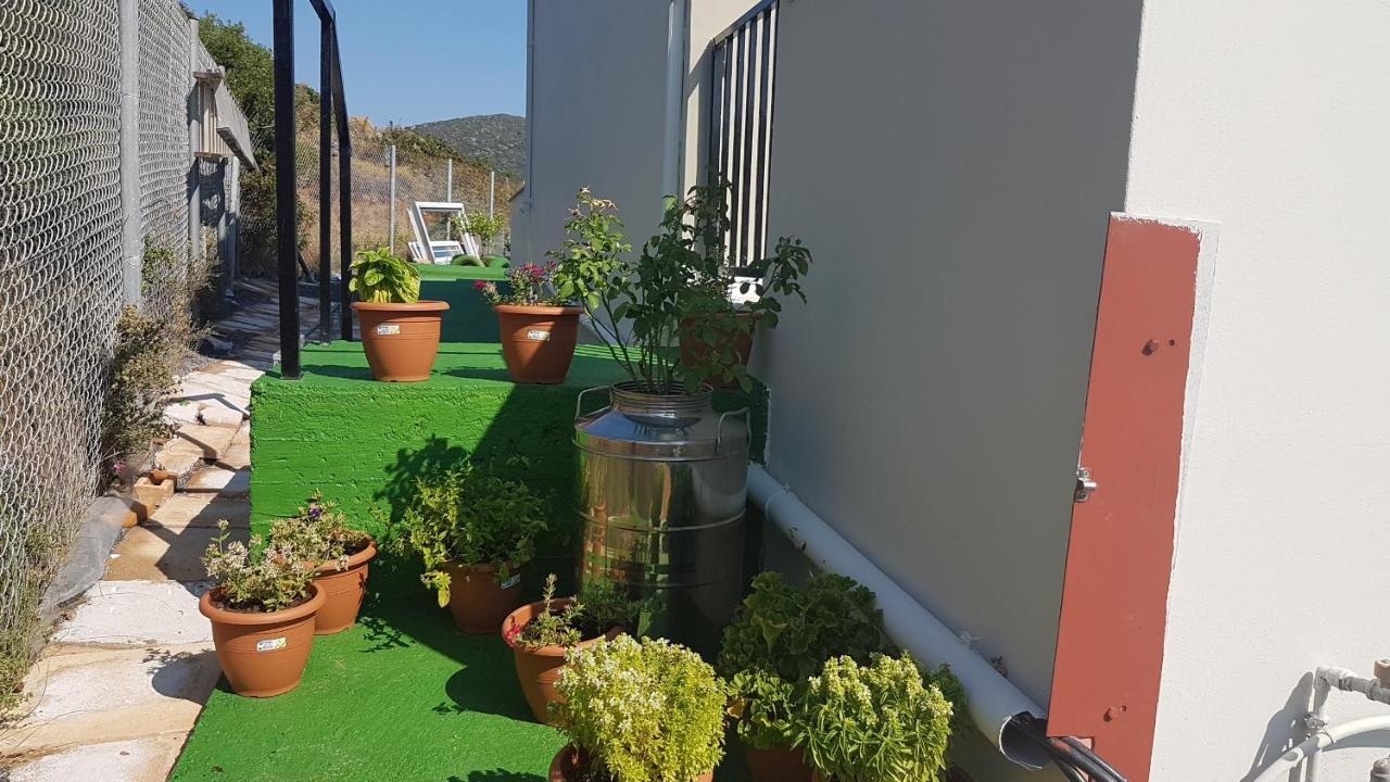 Anatoli Studios Agios Fokas  Exterior photo